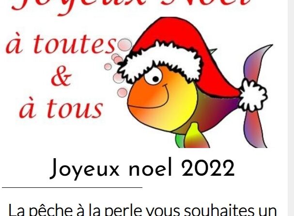 newsletter noël 2022