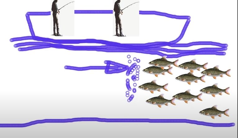 newsletter pêche janvier 2023