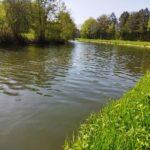 Exploration des rives verdoyantes de Landelies