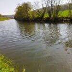 Vue imprenable sur les eaux scintillantes de Landelies