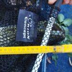 IMG_20230625_153512 IMG_20230625_153512