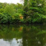 Pêche-à-la-perle-paisible-Rives-de-la-Sambre-Abbaye-d'Aulne Pêche-à-la-perle-paisible-Rives-de-la-Sambre-Abbaye-d'Aulne