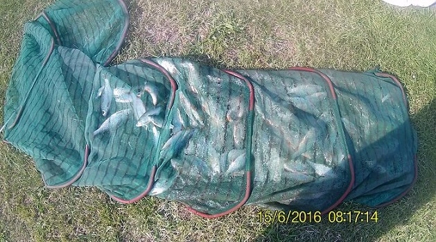 Bourriche de la premiere sortie de pêche de la saison en Sambre