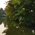 endroit-merveilleux-pour-de-bonne-stratégies-pêche-a-la-perle_1