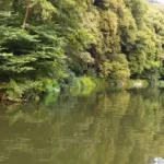 endroit-parfait-pour-de-bonne-stratégies-pêche-a-la-perle