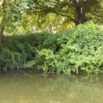 endroit-sublime-pour-de-bonne-stratégies-pêche-a-la-perle