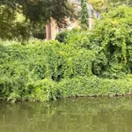 super-endroit-pour-de-bonne-stratégies-pêche-a-la-perle