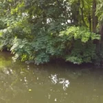 tres-bel-endroit-pour-de-bonne-stratégies-pêche-a-la-perle