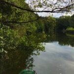 extra-paysage-abbaye-d-aulne-peche-perle-26-septembre-2023