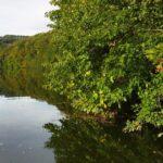 paysage-abbaye-d-aulne-peche-perle-26-septembre-2023
