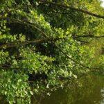 subblime-paysage-abbaye-d-aulne-peche-perle-26-septembre-2023