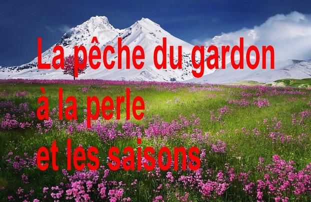 La pêche du gardon à la perle et les saisons
