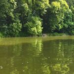 Paysages-Techniques-de-Peche-du-Gardon-en-Deversoir