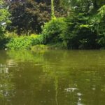 Paysages-incoyable-Techniques-de-Peche-du-Gardon-en-Deversoir