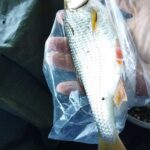 gardon-exeptionnel-sambre-abbaye