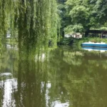 abbaye-aulne-apres-orage abbaye-aulne-apres-orage