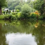 abbaye-aulne-peche-record abbaye-aulne-peche-record