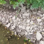 berge-abbaye-aulne berge-abbaye-aulne