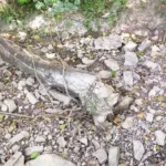 bord-sambre-abbaye bord-sambre-abbaye