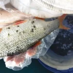 gardon-chenevis-sambre gardon-chenevis-sambre