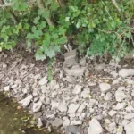 sambre-abbaye-aulne sambre-abbaye-aulne