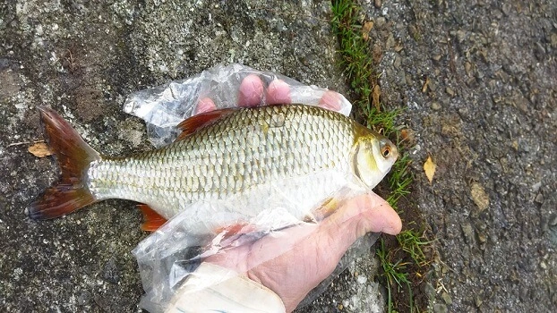 session de peche reussie