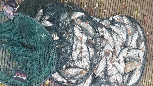 comment battre son record peche gardon