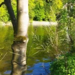 payasage-decouverte-peche-perle