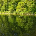 paysage-landelies-peche-gardon