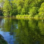 paysage-peche-gardon